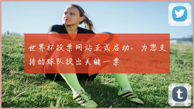 世界杯投票网站正式启动,为您支持的球队投出关键一票