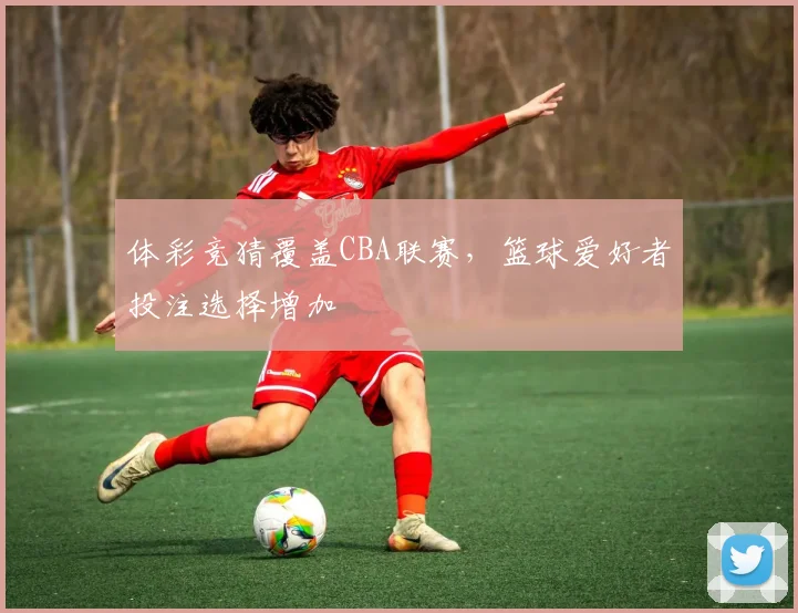 体彩竞猜覆盖CBA联赛,篮球爱好者投注选择增加