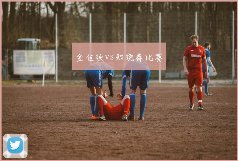 金佳映vs郑晓春比赛