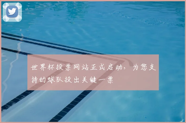 世界杯投票网站正式启动,为您支持的球队投出关键一票