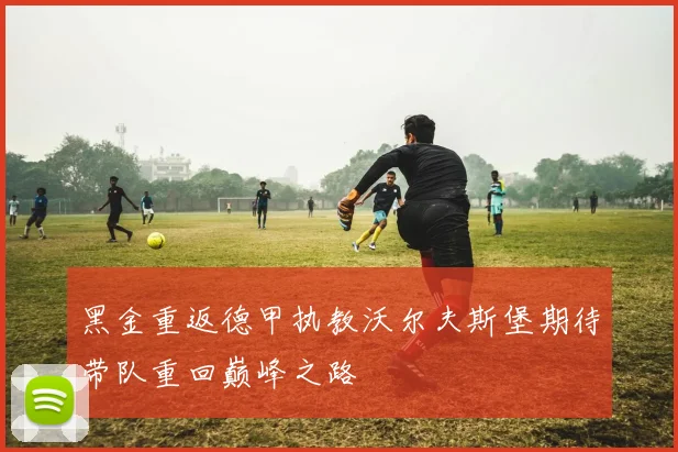 黑金重返德甲执教沃尔夫斯堡期待带队重回巅峰之路