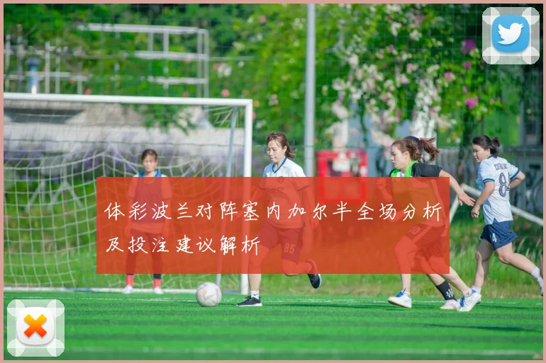体彩波兰对阵塞内加尔半全场分析及投注建议解析